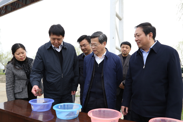 中央政法委委員、秘書長(zhǎng)、時(shí)任湖北省省委副書記、武漢市委書記陳一新視察萊克龍灣基地